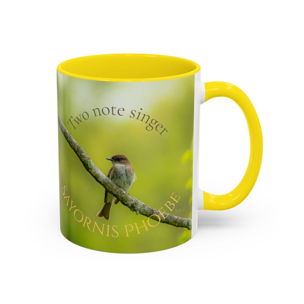 Bird Lover Accent Coffee Mug — Eastern Phoebe Bird Photo, Bird Lover Gift (11oz) Collectable Mug No.1