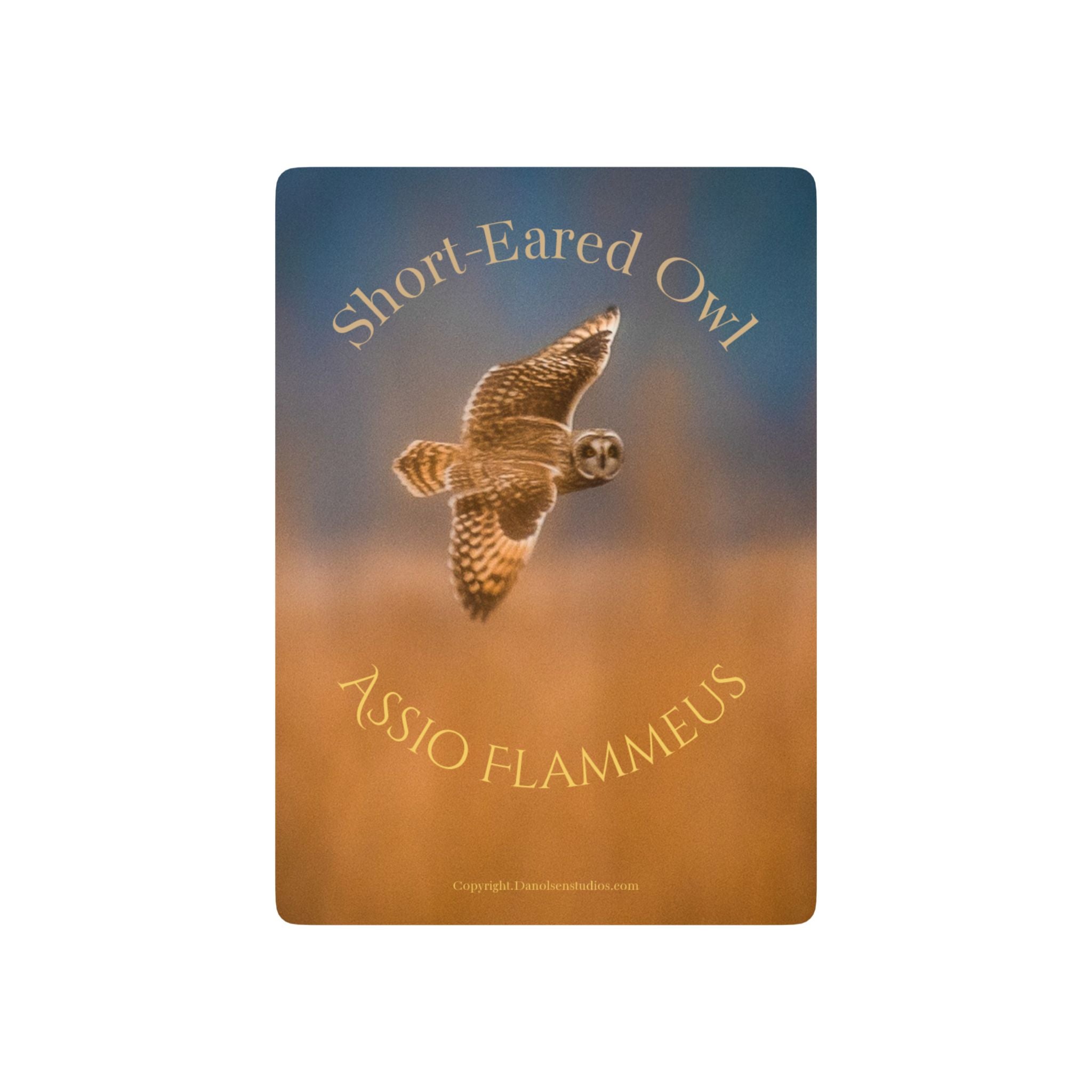 Short-Eared Owl Playing Cards — Wildlife-Themed Deck with Short-Eared Owl Flying Through Fog