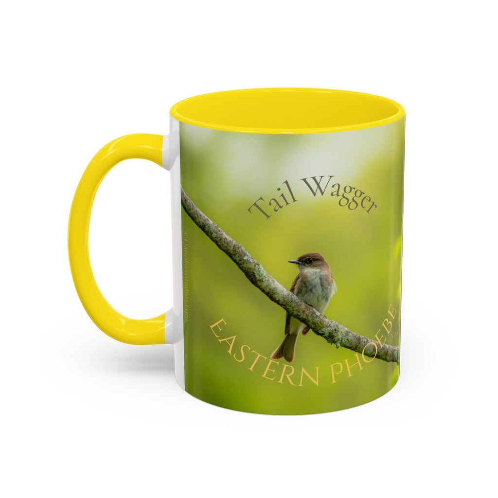 Bird Lover Accent Coffee Mug — Eastern Phoebe Bird Photo, Bird Lover Gift (11oz) Collectable Mug No.1
