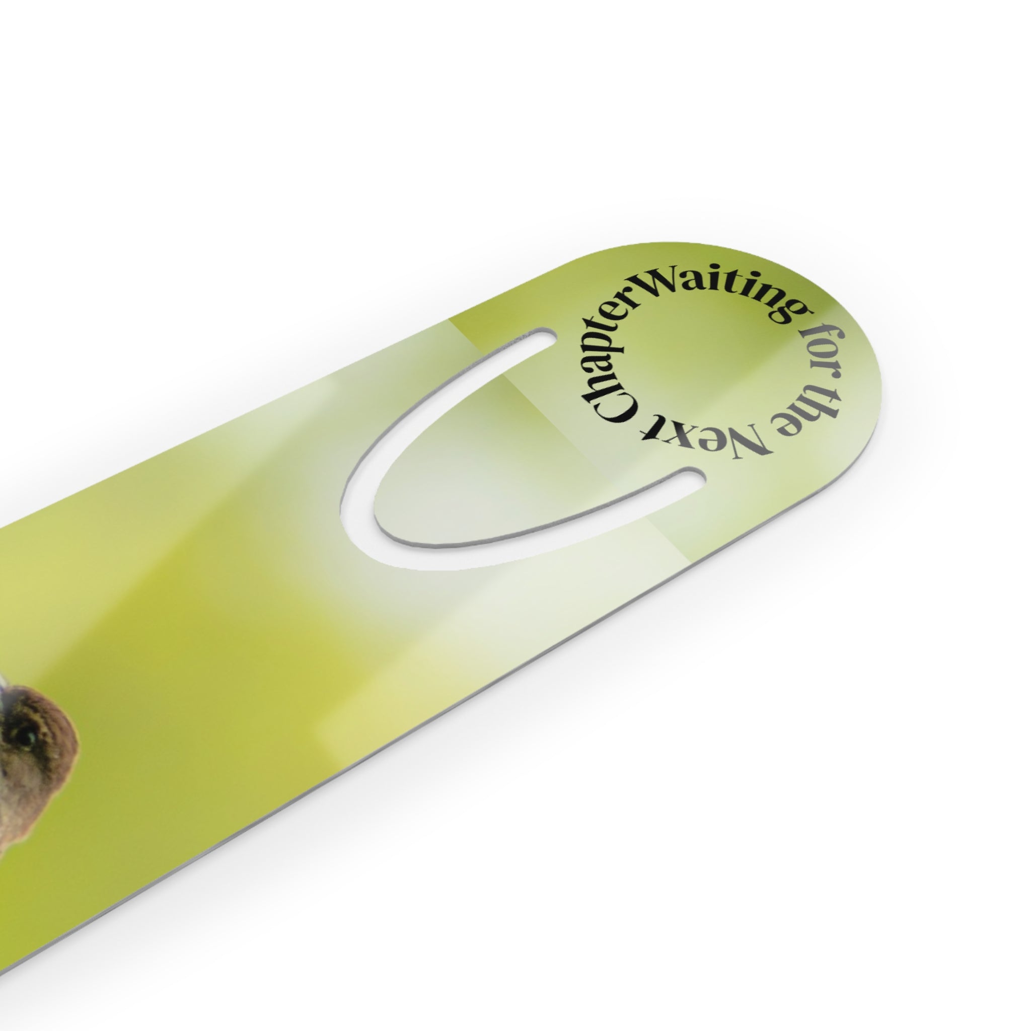 Songbird Bookmark - Bird Photography Eastern Phoebe, Metal Bookmark with 'Waiting for the Next Chapter' Collectable Bookmark No.1