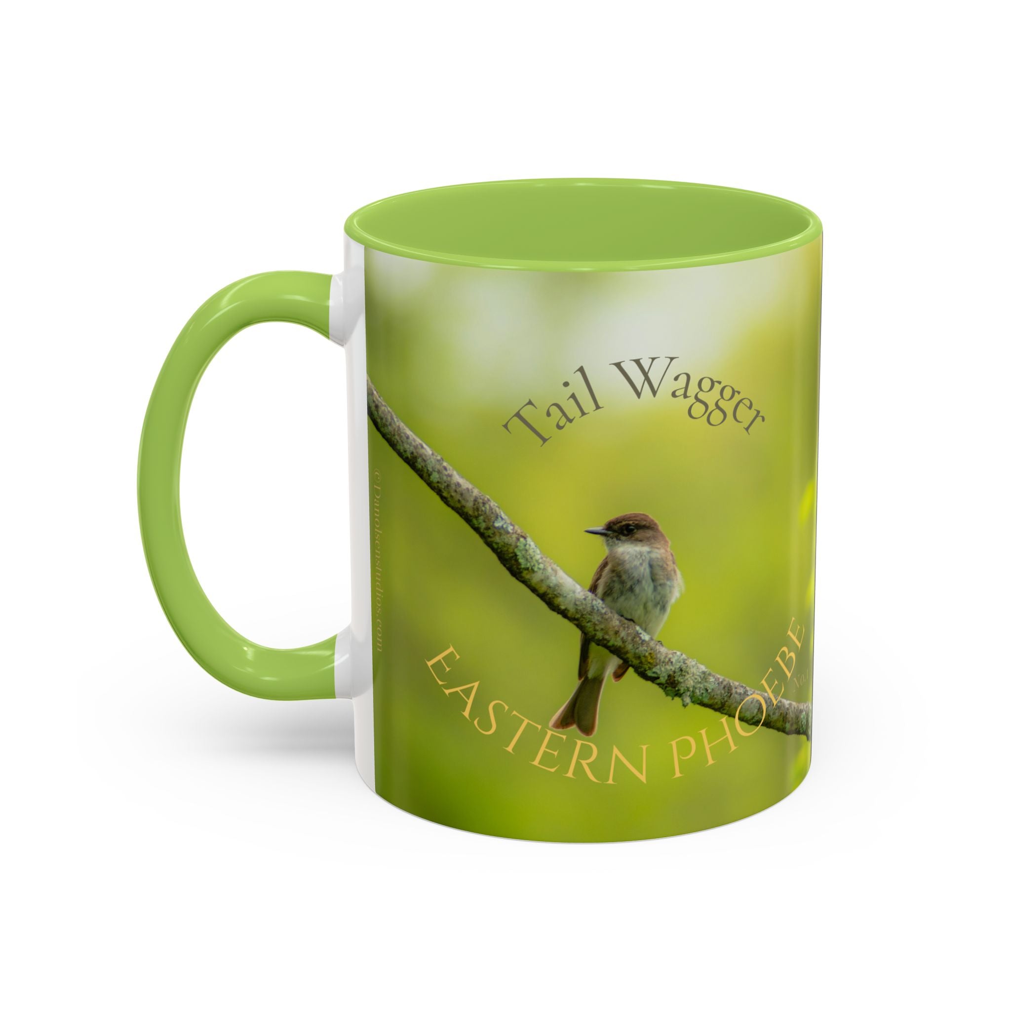 Bird Lover Accent Coffee Mug — Eastern Phoebe Bird Photo, Bird Lover Gift (11oz) Collectable Mug No.1