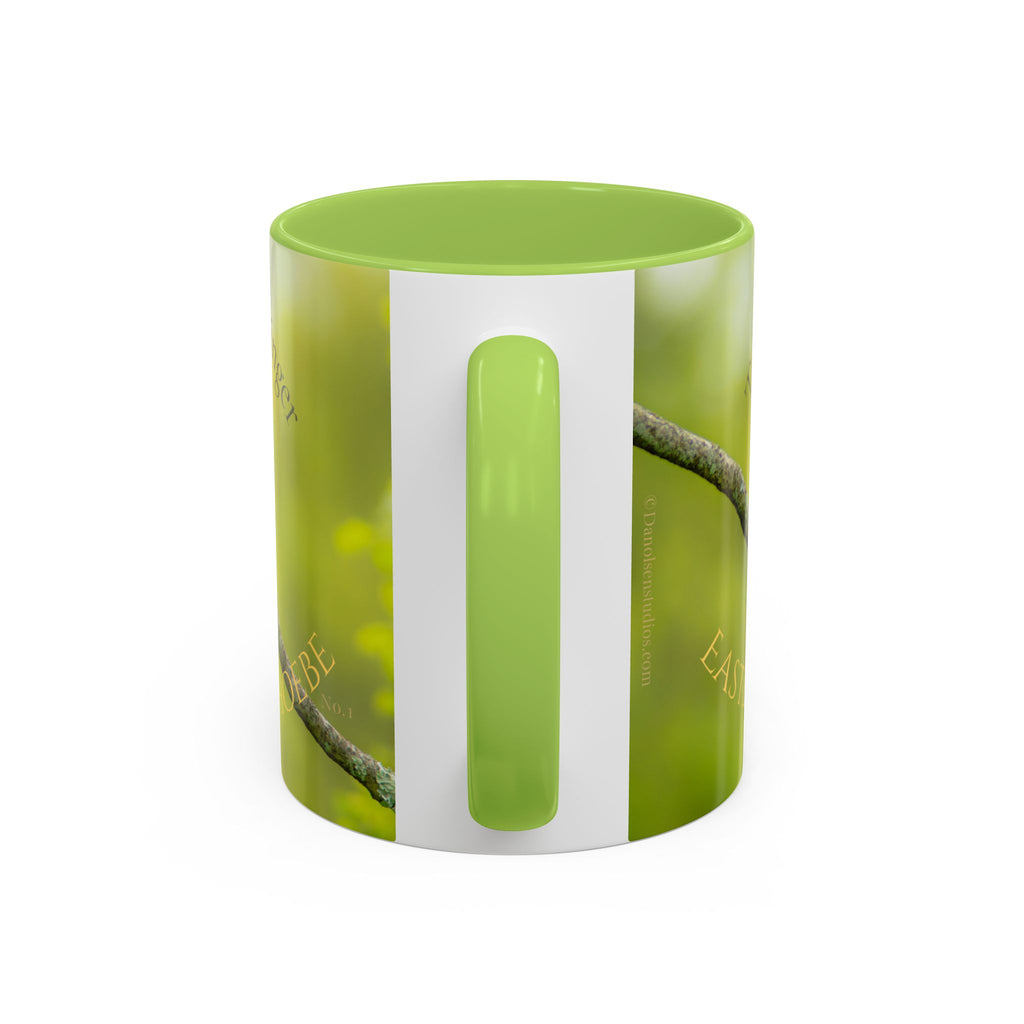 Bird Lover Accent Coffee Mug — Eastern Phoebe Bird Photo, Bird Lover Gift (11oz) Collectable Mug No.1