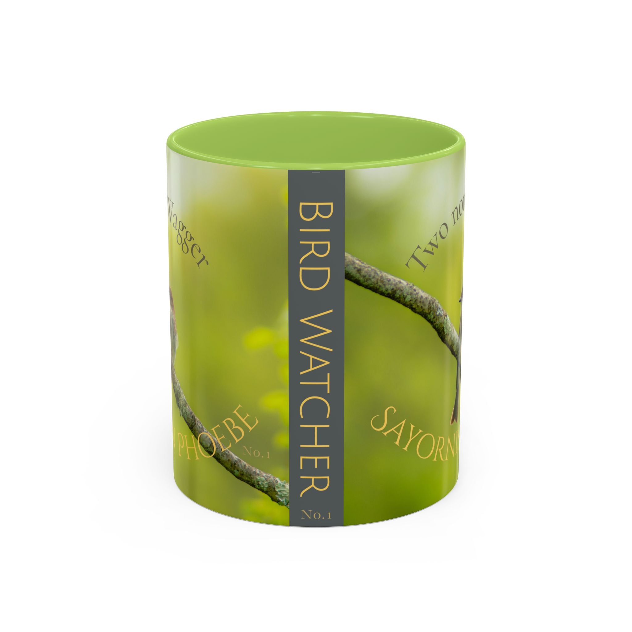 Bird Lover Accent Coffee Mug — Eastern Phoebe Bird Photo, Bird Lover Gift (11oz) Collectable Mug No.1