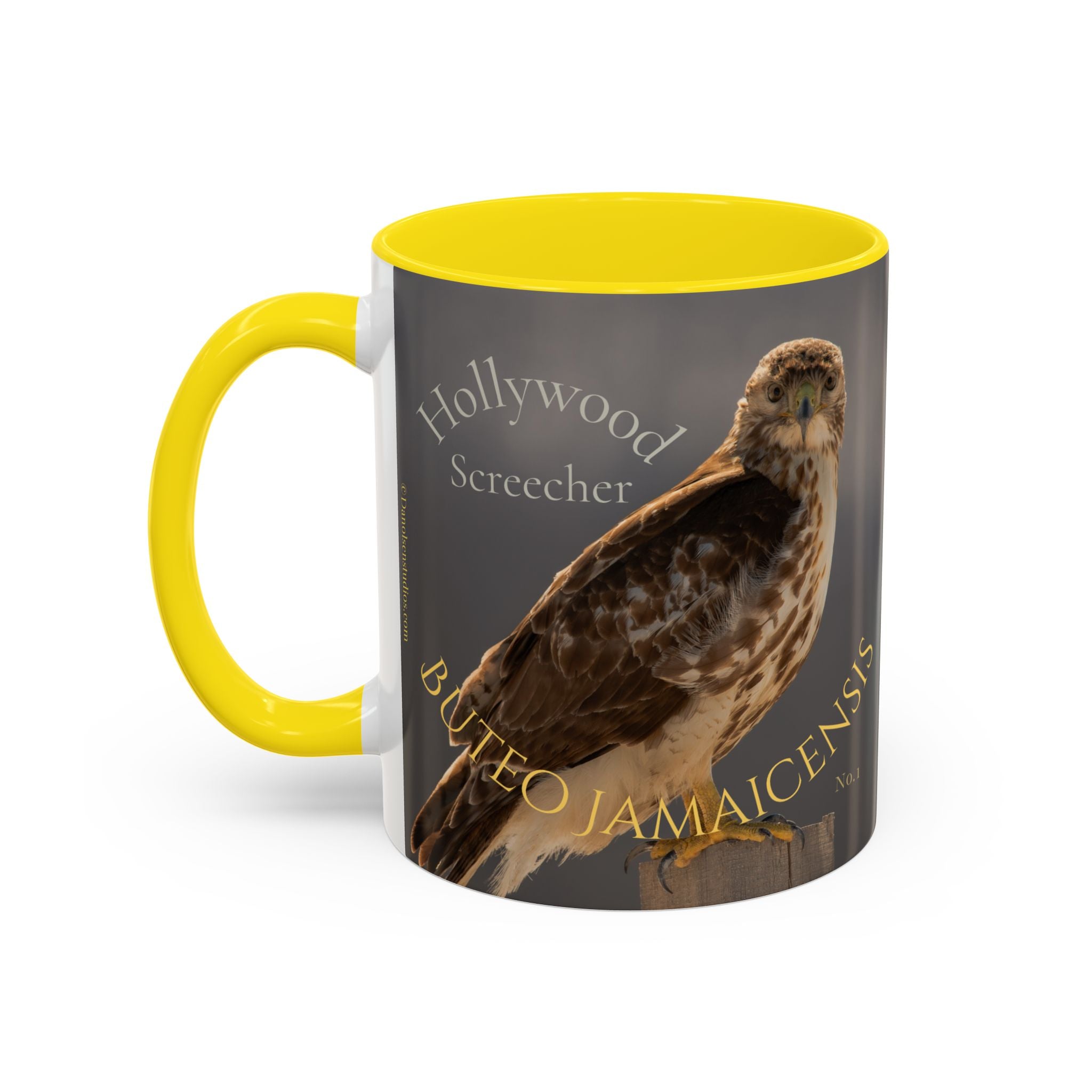 Red-Tailed Hawk - Bird Watcher Coffee Mug  (11 oz) Collectable Mug No.4