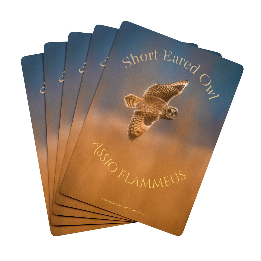 Short-Eared Owl Playing Cards — Wildlife-Themed Deck with Short-Eared Owl Flying Through Fog
