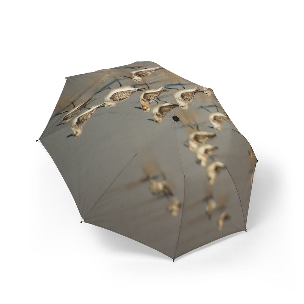 Sandpipers on Wet Sand Foldable Umbrella — Coastal Bird Print