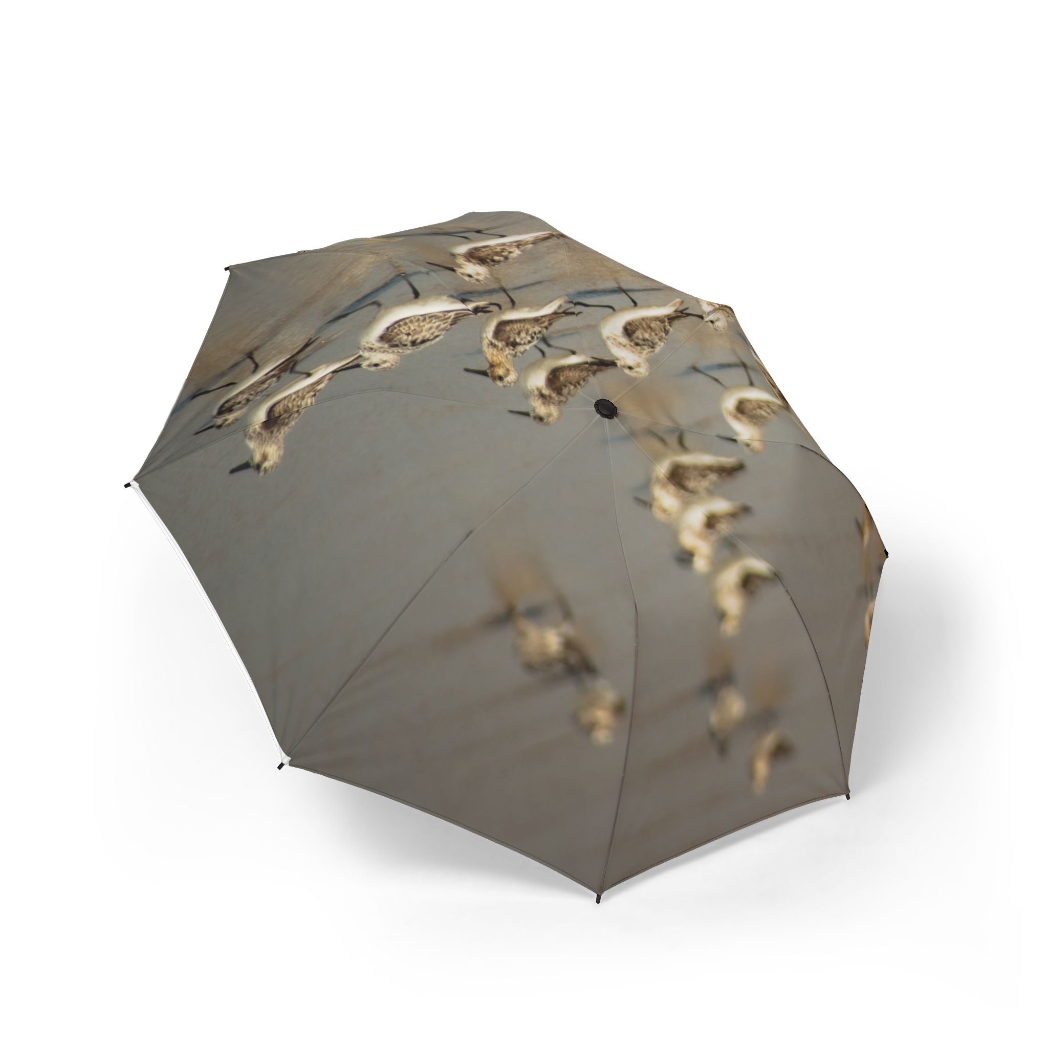 Sandpipers on Wet Sand Foldable Umbrella — Coastal Bird Print