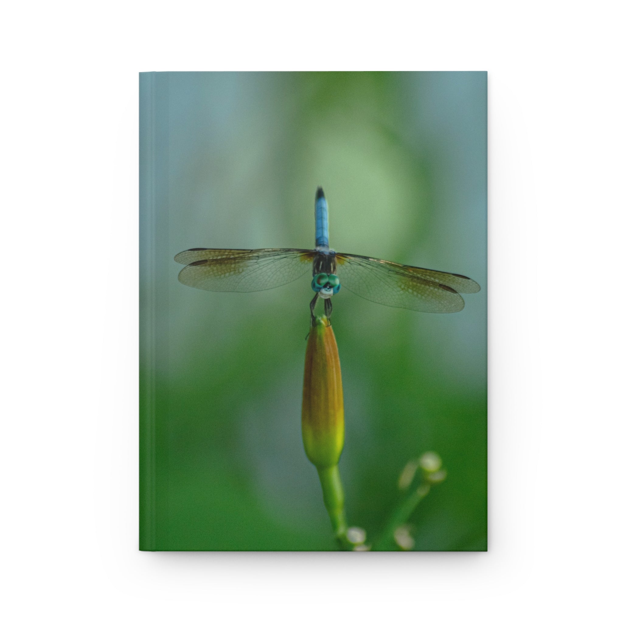 Dragonfly Photo Hardcover Journal — Nature Photography Notebook for Writing
