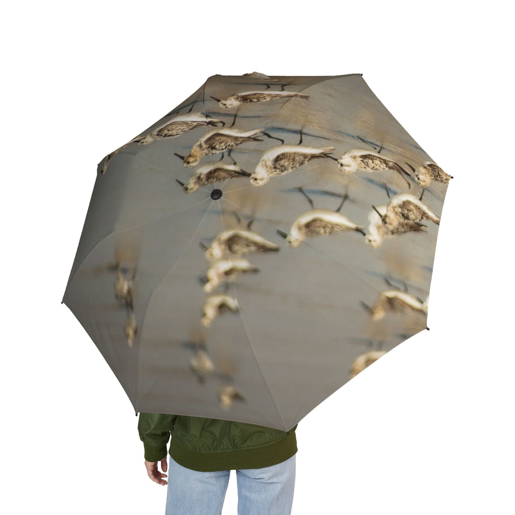 Sandpipers on Wet Sand Foldable Umbrella — Coastal Bird Print