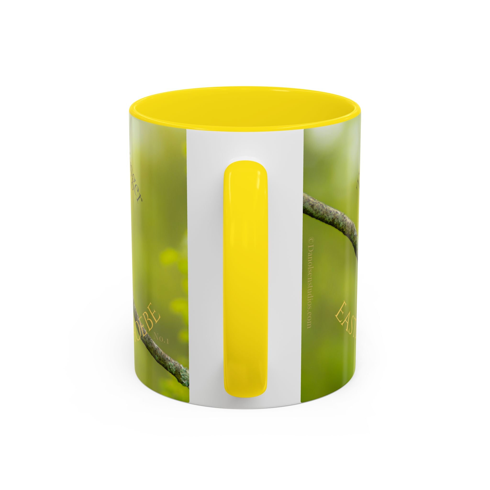 Bird Lover Accent Coffee Mug — Eastern Phoebe Bird Photo, Bird Lover Gift (11oz) Collectable Mug No.1