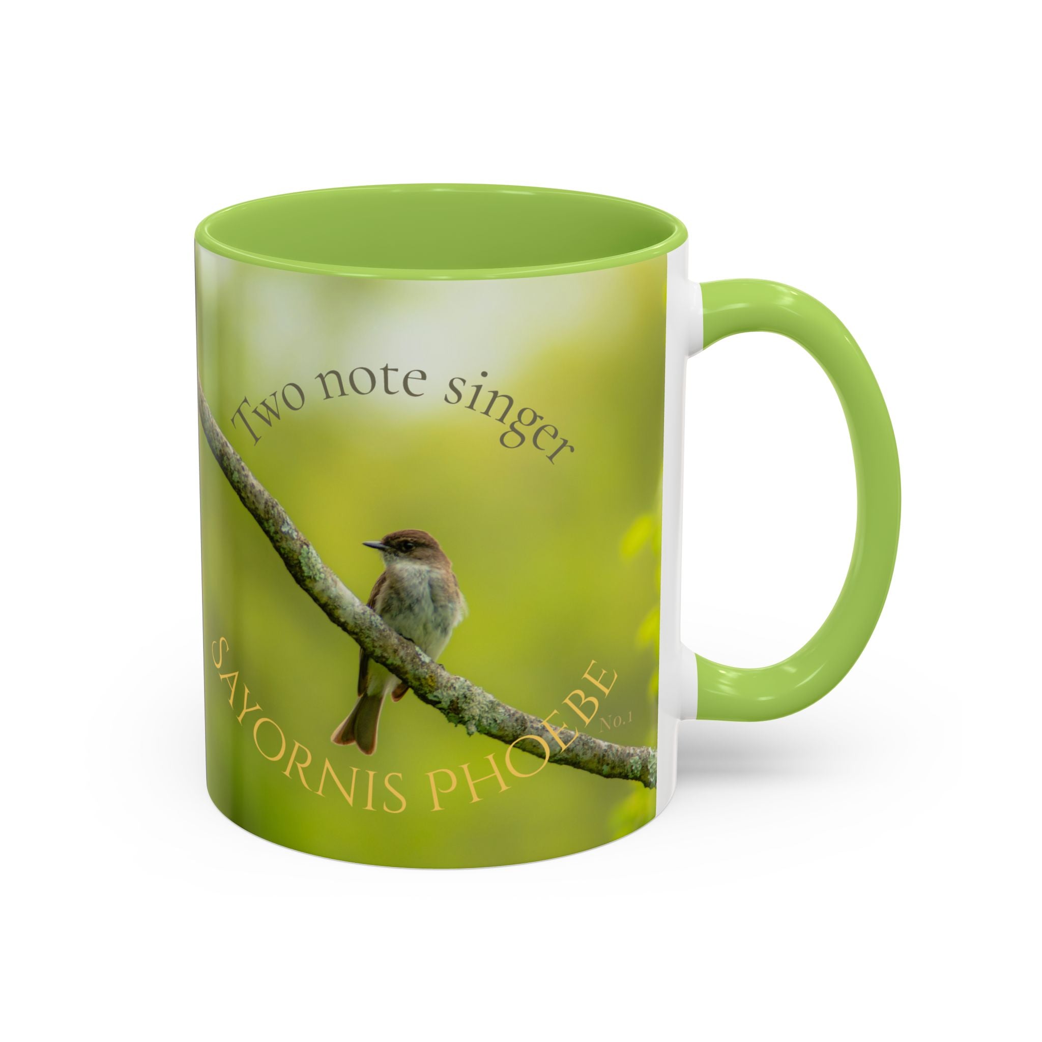 Bird Lover Accent Coffee Mug — Eastern Phoebe Bird Photo, Bird Lover Gift (11oz) Collectable Mug No.1