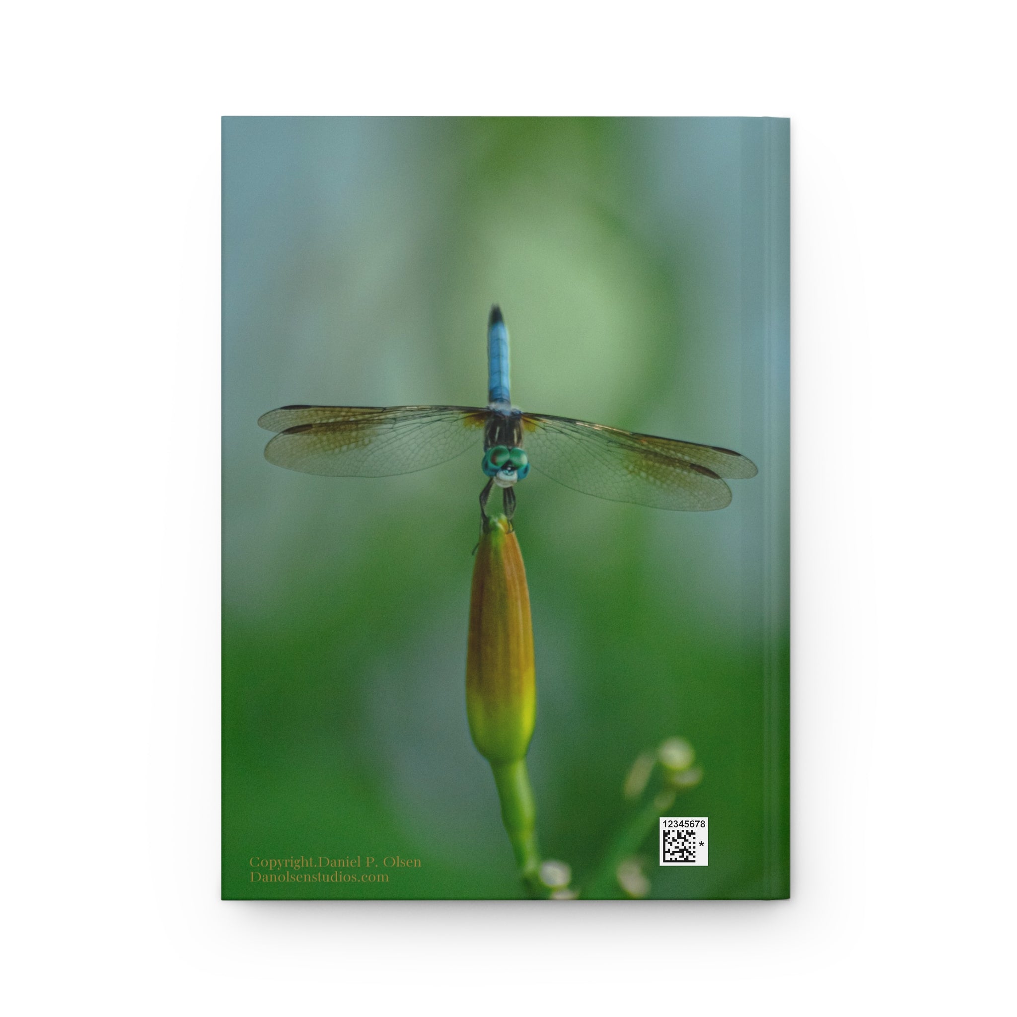 Dragonfly Photo Hardcover Journal — Nature Photography Notebook for Writing